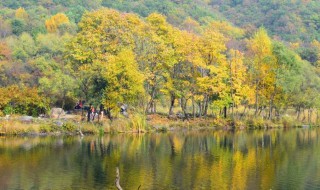 北京周边景点排名前十（北京周边景点排名前十 排名榜）