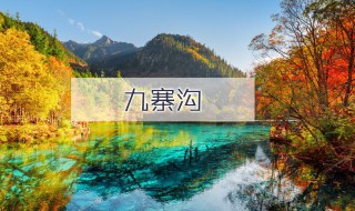 国内旅游景点排名前十 国内旅游景点排名前十的国家