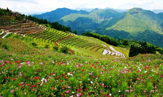 福州旅游景点排名前十（福州旅游景点排名前十名）