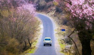 适合春季旅游的地方 春季适合去的旅游景点