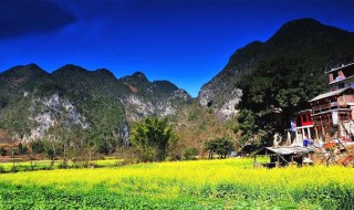云南啥时候玩合适（云南啥时候玩合适旅游）