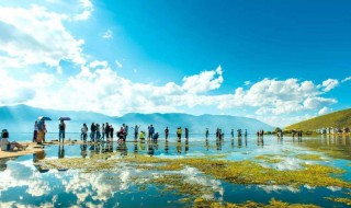 最适合去云南的旅游季节 最适合去云南的旅游季节是