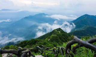 深圳的旅游景点有哪些地方 深圳的旅游景点有哪些地方不用门票