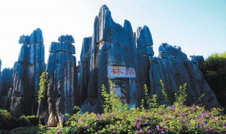 云南旅游攻略七日游（云南旅游攻略7日游）