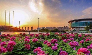 洛阳市旅游景点 河南省洛阳市旅游景点