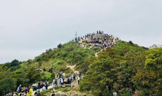 深圳梧桐山海拔多少米（深圳梧桐山海拔多少千米）