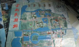 云南自驾游攻略路线（云南自驾游攻略路线）