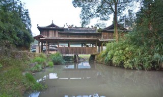 泰顺旅游必去景点介绍 泰顺旅游景点攻略