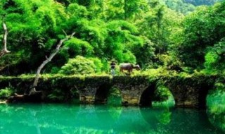 荔波大小七孔景点介绍（荔波大小七孔景点介绍图片）