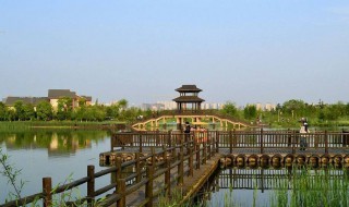 洋湖湿地公园有什么好玩的地方（洋湖湿地公园有哪些好玩的）