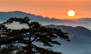 黄山介绍及特点 黄山介绍及特点100字