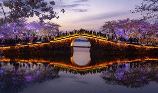 江苏景点（江苏景点免费政策）