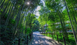 溧阳旅游景点推荐（溧阳旅游景点推荐免费）