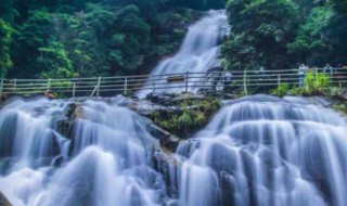 武平县旅游景点（武平县旅游景点梁野山）