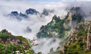 保定附近自驾旅游景点有哪些 保定附近自驾旅游景点有哪些地方