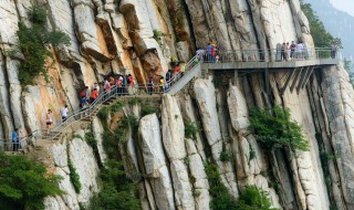 河南必玩十大景区（河南旅游景点排名前十名）