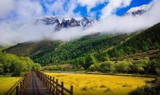 稻城亚丁旅游景点（稻城亚丁旅游景点大全）
