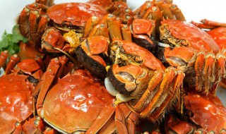 廊坊特产（廊坊特产美食）