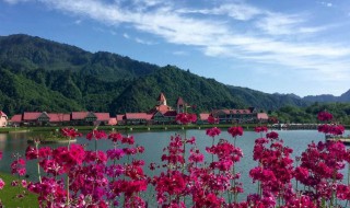 国庆好玩的地方（上海国庆好玩的地方）