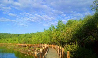 去伊春几月份好 去伊春旅游什么季节好