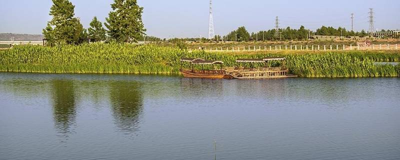 宾阳湿地公园在哪里（宾阳湿地公园在哪里啊）