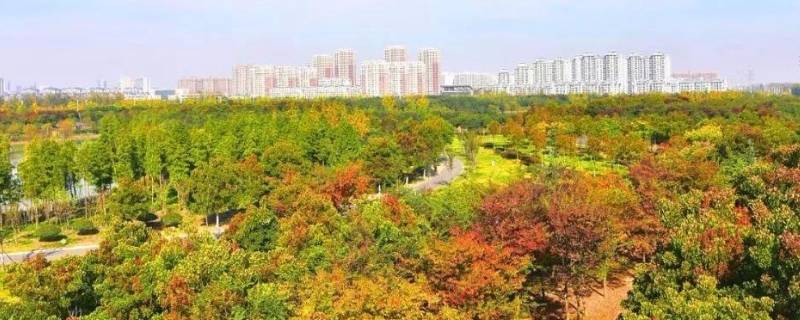 城东公园在哪里 城东公园在哪里什么公交