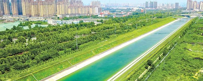 丹水在哪里（丹水在哪个地方）