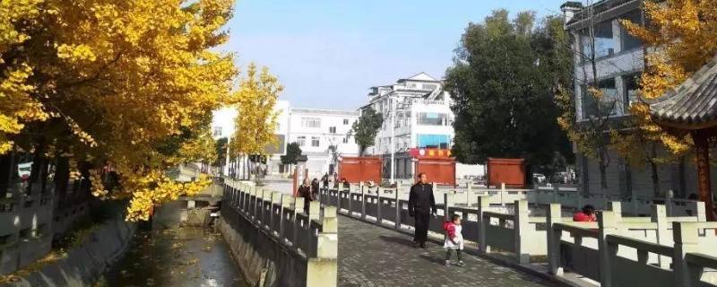 隆丰在哪 隆丰农场在哪里