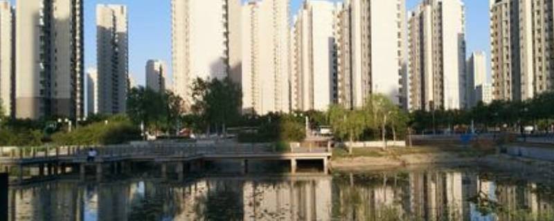 天津东丽区是滨海新区吗（天津东丽区是滨海新区吗还是老区）