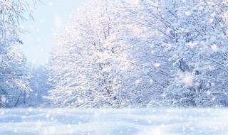 雪乡旅游指南（雪乡旅游攻略）