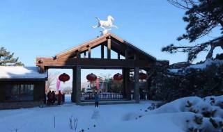 雪乡自助游（雪乡自助游费用）
